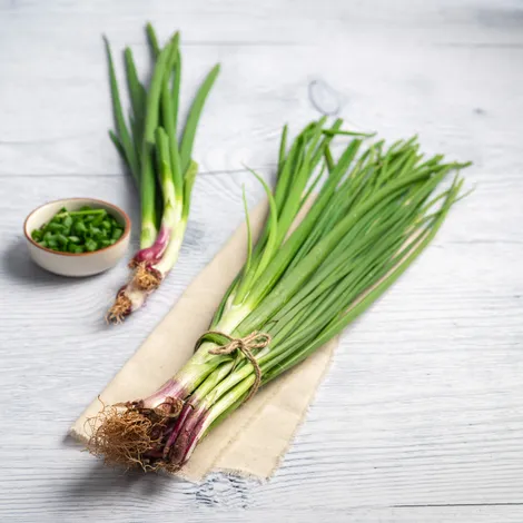 Spring Onion - Net Qty: 250 g