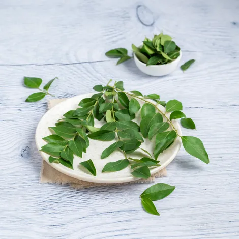 Curry Leaves - Cleaned, without roots - Net Qty: 50 g