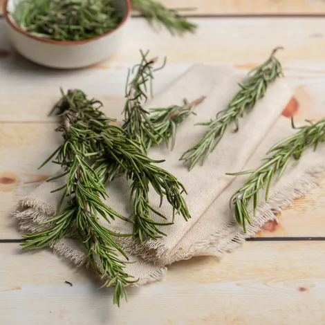 Rosemary - Net Qty: 10 g