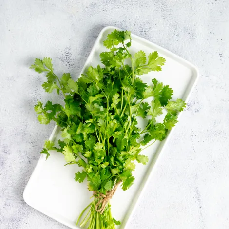 Coriander leaves - Net Qty: 1 pack (100 g)